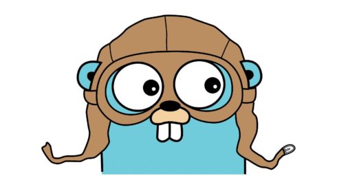 Golang Range